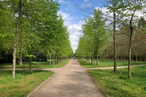 Open 8 Perceived Dimensions