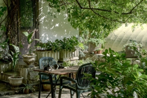 Shelter 8 Perceived Dimensions