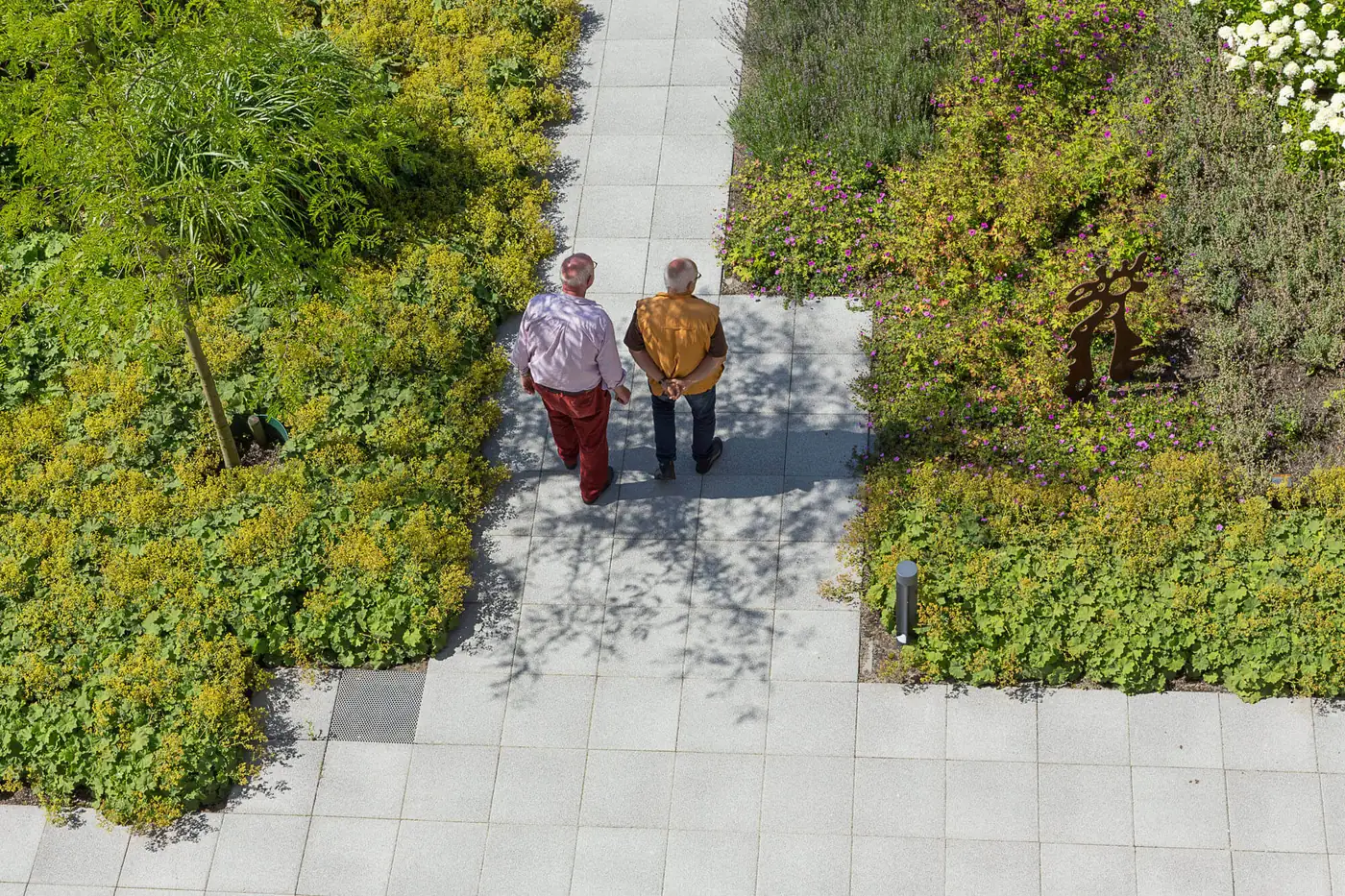 Twee oudere mannen wandelen samen door een groene tuin